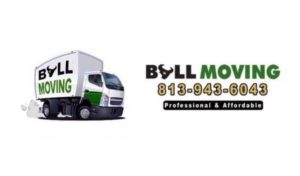 Bullmoving Bullmoving