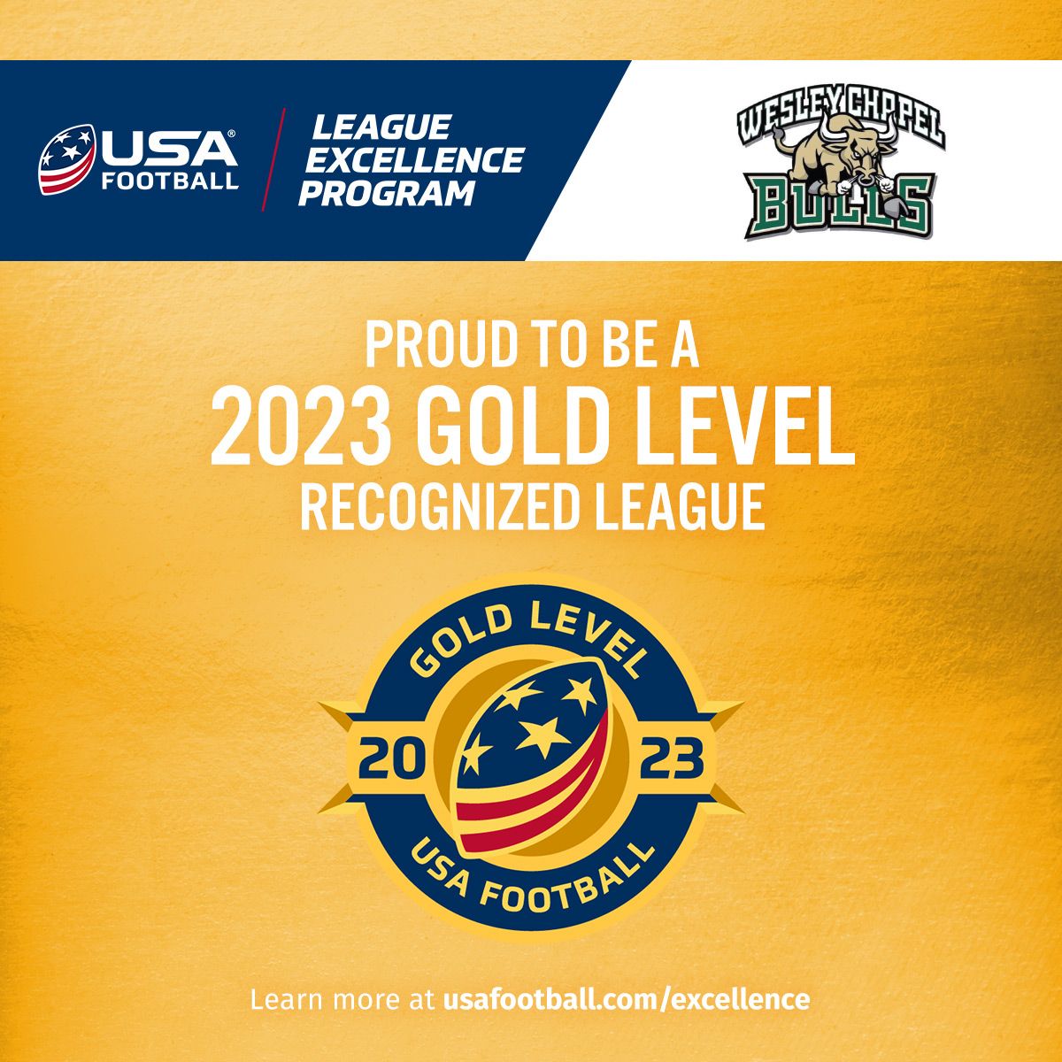 usa football 2023 gold level